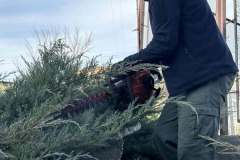 ПЗ_Агротехніка-2