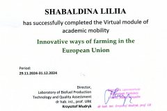 Шабалдіна