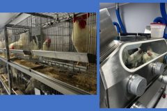 554708257_1386953353435265_6920885089671382740_n