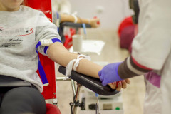 581762927_1320083369918247_6822747128023332529_n