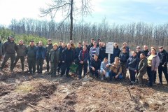 головна-садили-ліс-пну