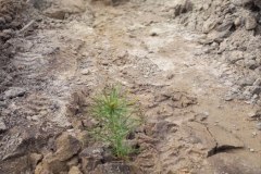 668176106_122194805120587871_860191455877310120_n