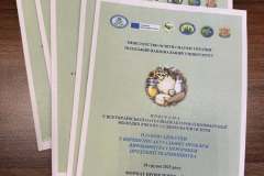 599940979_3355998391243450_3380665980430909075_n