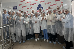 головна-рудь