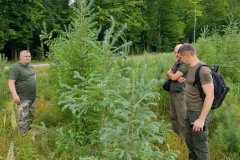 Городниця-6