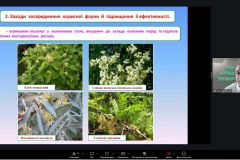 изображение_viber_2026-04-07_13-04-40-403