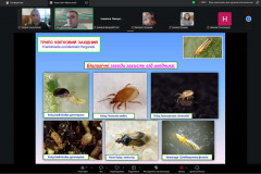 изображение_viber_2026-04-07_13-04-45-496