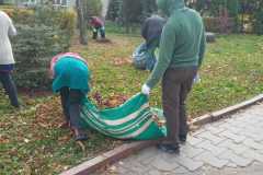 IMG-fc1a8ee938fc2c69db91c2a17b3df706-V