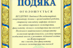 Бездітко-2