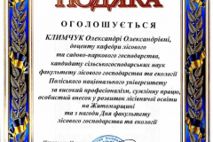 Климчук