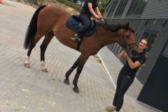 IMG-52700dbad795e1a6b417dfb4a9cec6b1-V