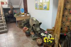 FB_IMG_1696517671441