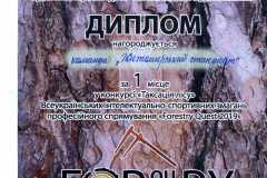 Quest-_диплом
