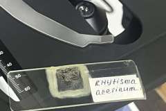 504486643_4077278319176853_8712657291288770785_n