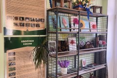 photo_2026-01-04_11-24-58