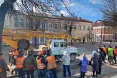 Зелені-насадження-5