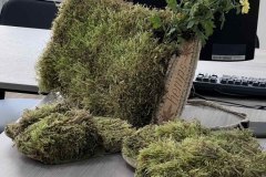 thumbs_464227297_2315318425499776_2656756158095640146_n