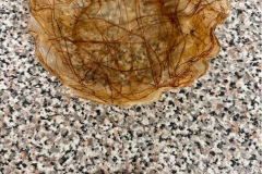 28