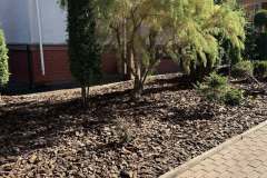 Квітник-факультет-5