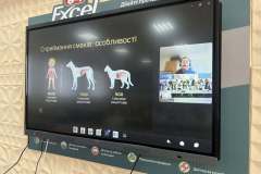 660538214_1557245776406021_2767981324121535307_n