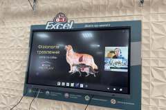 661250895_1557245529739379_1606438799611551417_n