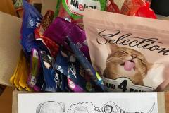 IMG-590b11061914ca3ac01575968b17dd4f-V