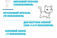 242260980_936428770280554_2871816269100358224_n