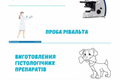 242278880_936428723613892_7984528078542794971_n