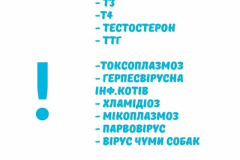 242509462_936428793613885_2567966459301636551_n