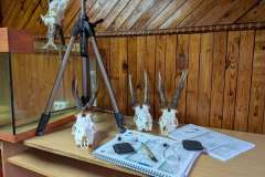 547430509_10229481352446308_2170851655037403772_n