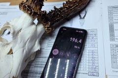 547824761_10229481738415957_2068566375424084256_n