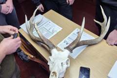 574502367_2187877565035031_7674468877339054516_n