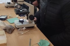 photo_5248996974487342176_y