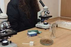 photo_5248996974487342181_y