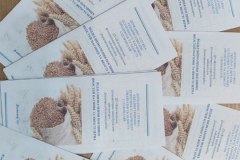 photo_5248996974487342193_y