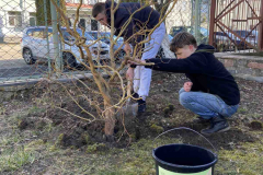 зображення_viber_2023-03-21_10-45-29-330