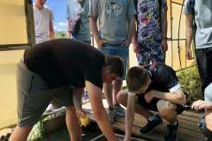 Лісовий-розсадник-17