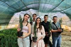 Лісовий-розсадник-18