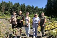 Лісовий-розсадник-19