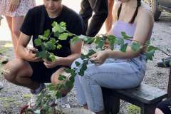 Лісовий-розсадник-6