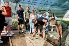 Лісовий-розсадник-12