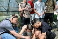 Лісовий-розсадник-13