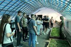 Лісовий-розсадник-4