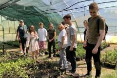 Лісовий-розсадник-5