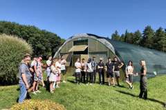 Лісовий-розсадник2