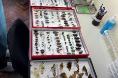 изображение_viber_2026-03-31_10-22-49-321