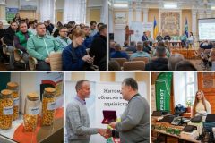 Персиковий Простий Мінімалістичний Фото Колаж Публікація для Instagram (Фон рабочего стола) - 4