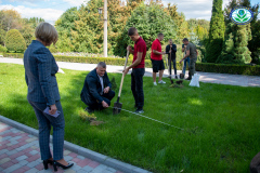 дерева-01