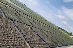 IMG-746dafd0b900558d8155d787d70b16dd-V