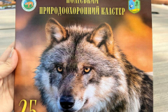 449146970_1574941463094195_6760389552935733314_n